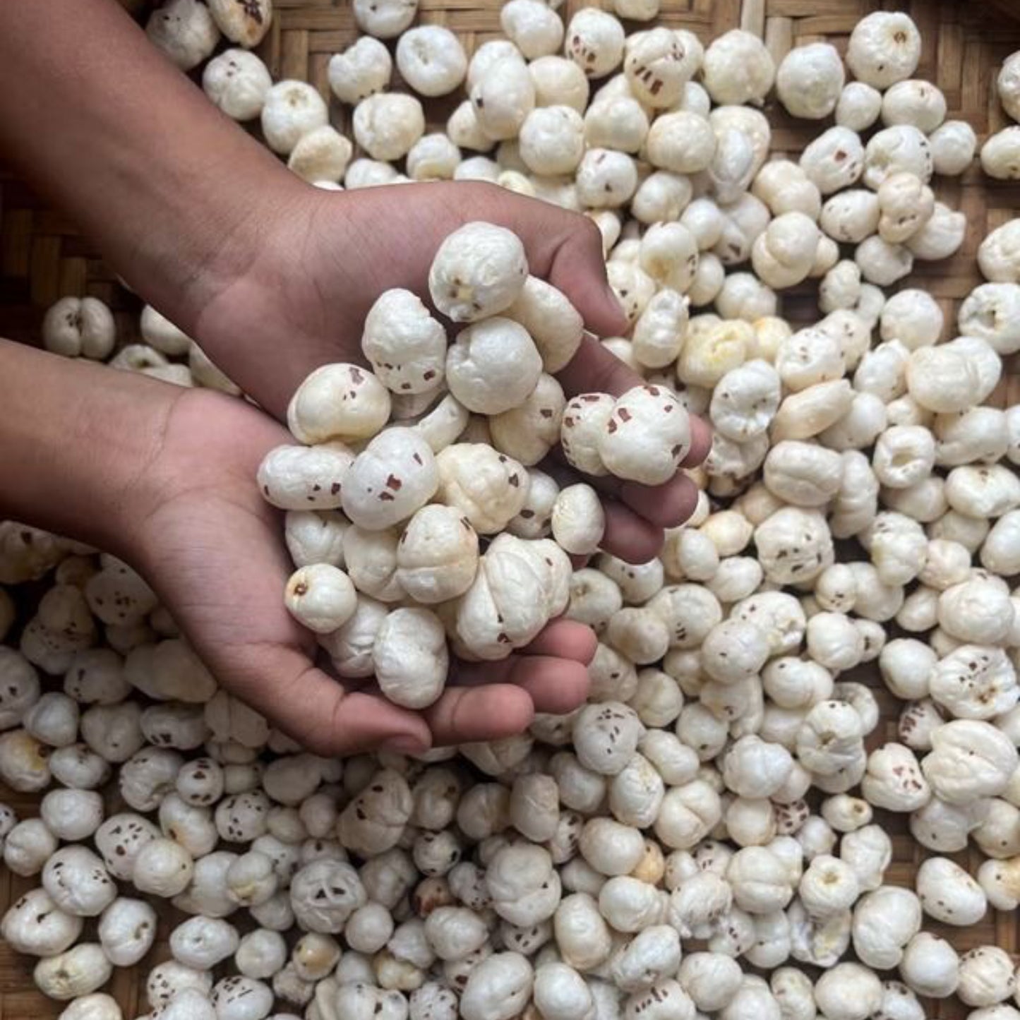 Niladri Nuts Makhana | Foxnuts |Phool Makhana | Farm-Fresh Raw Lotus Seeds | Perfect for Weight Loss Diets